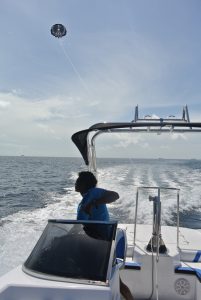 Parasailing Boats For Sale - Parasailing 24 - 5